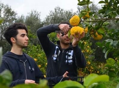 Nuova intesa con Sassari per la pompìa di Siniscola 