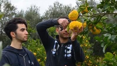 Nuova intesa con Sassari per la pompìa di Siniscola