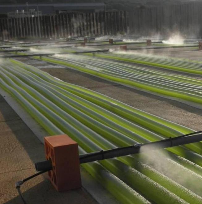 Nuovi fondi per la “bioeconomia” 