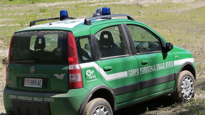 «La Forestale nell’Arma come i Park Ranger»