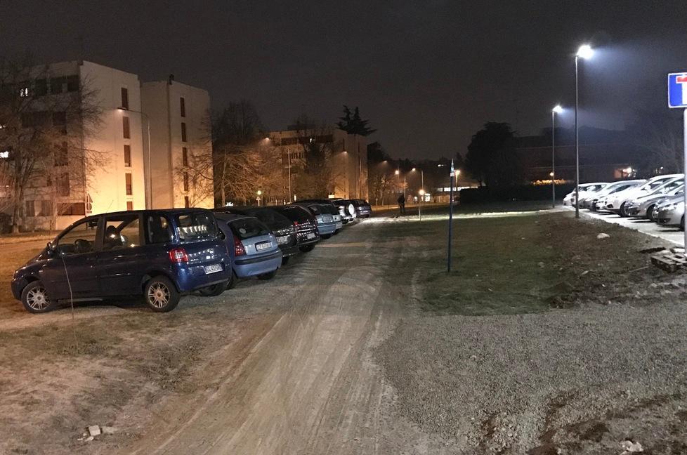«Parcheggio selvaggio nel parco di via Fenulli» 