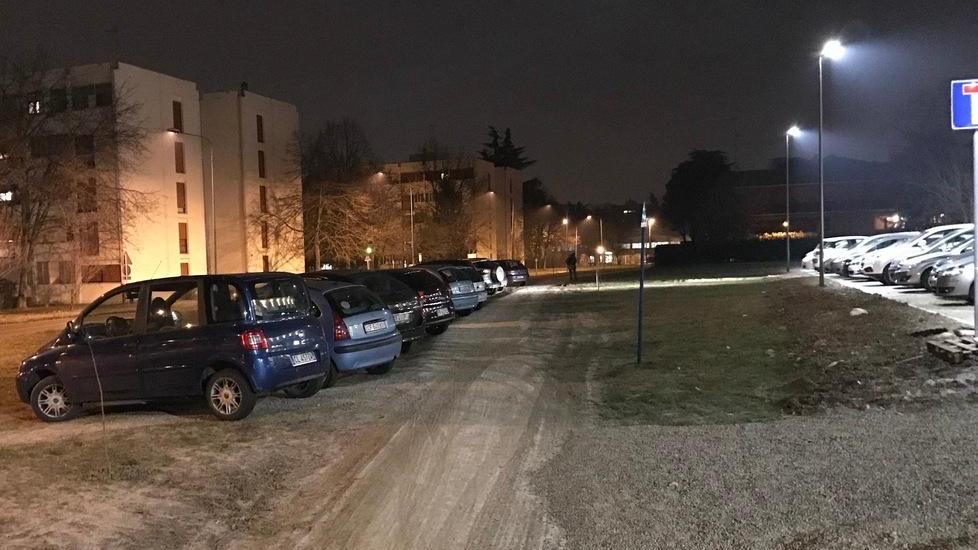 «Parcheggio selvaggio nel parco di via Fenulli»