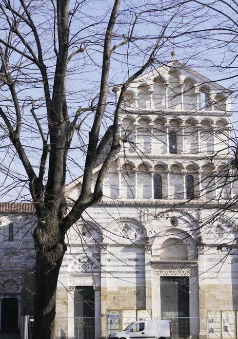 Dalle Piagge a Tirrenia via all’abbattimento di quasi trecento alberi 