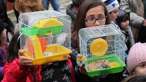 Un momento della benedizione degli animali