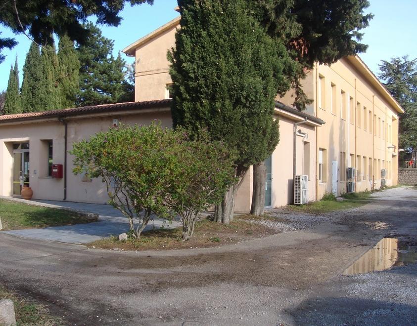 Al Tar i veterinari contesi il ricorso è inammissibile 
