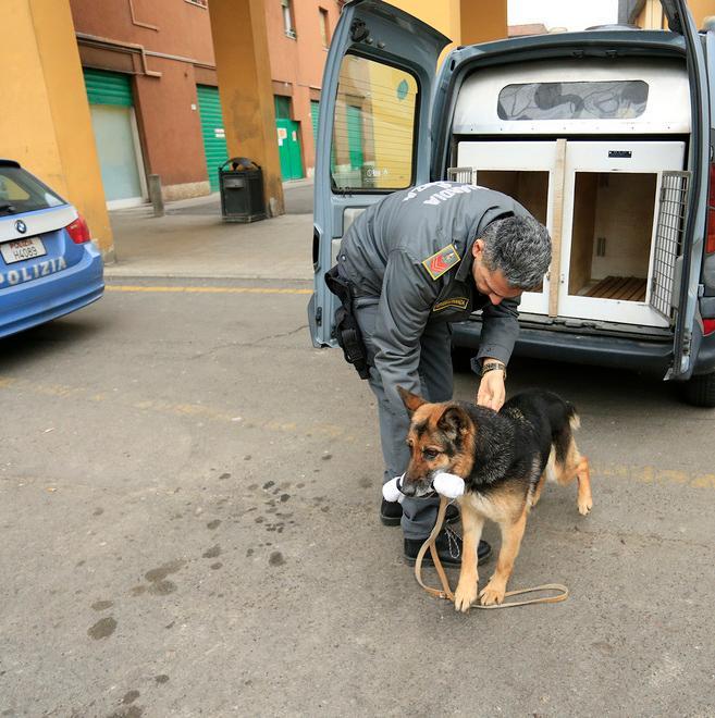 Trovata marijuana in due market etnici 