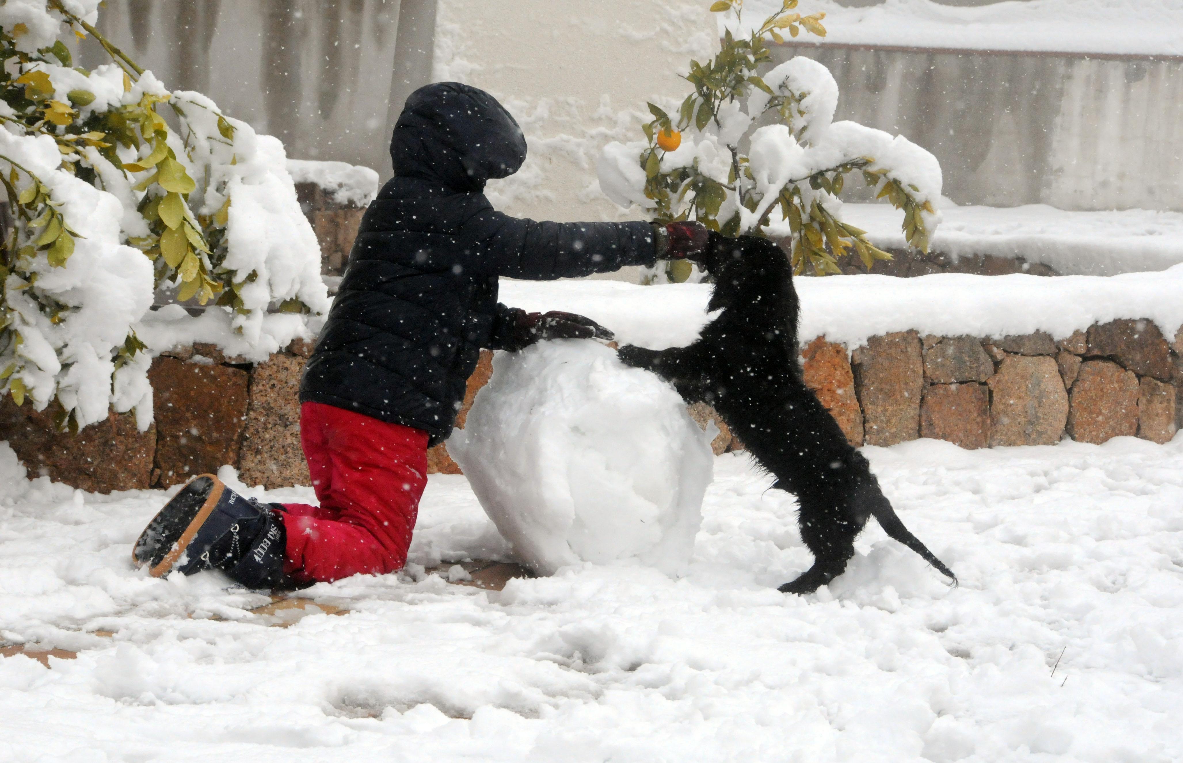 Un bimbo gioca sulla neve a Nuoro (foto Massimo Locci)