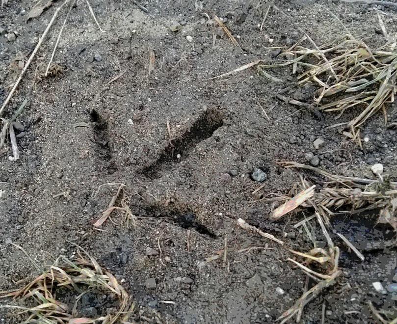 I signori della notte l’attesa e l’incontro nel buio più assoluto 