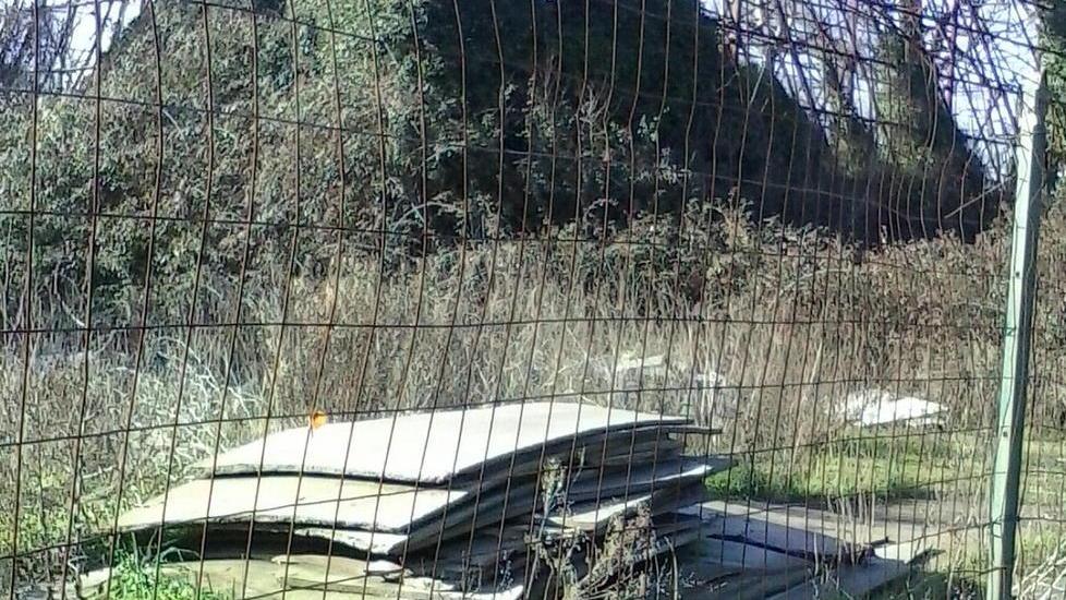 Strada trasformata in discarica «Basta, qualcuno intervenga»