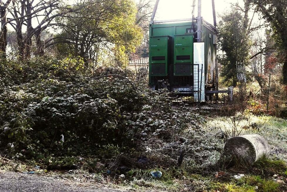 Rifiuti ingombranti rimossi da via delle Industrie 