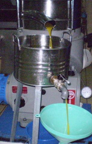 Gli oscar dell’olio extravergine 