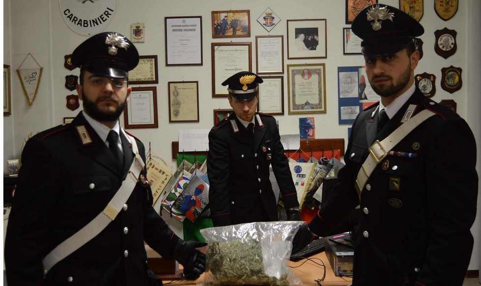 “Tutela” la droga col rottweiler, arrestato