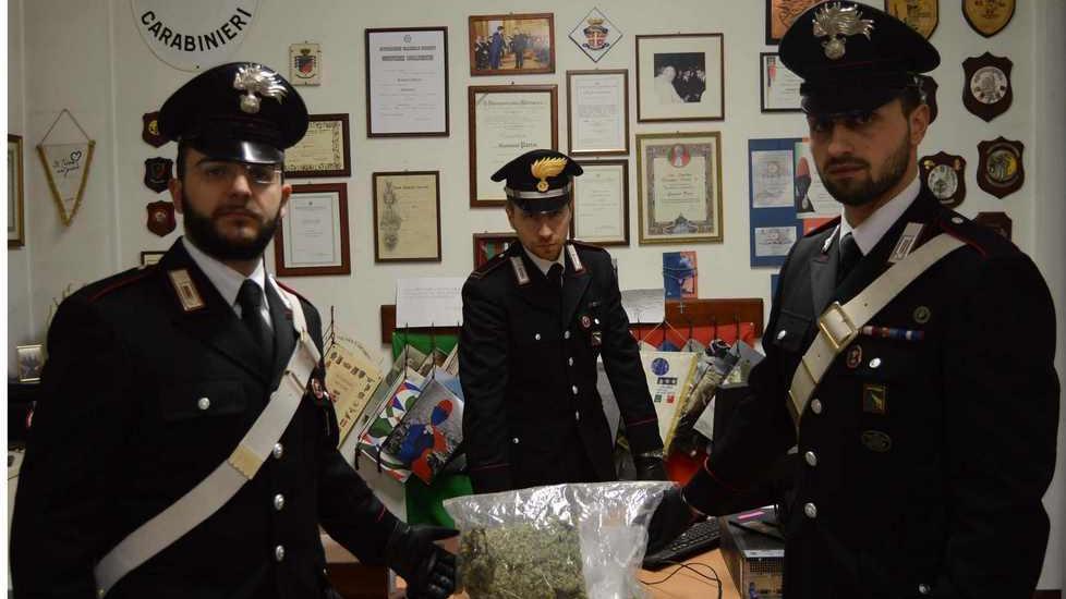 “Tutela” la droga col rottweiler, arrestato