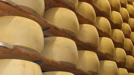 World Cheese Awards: premi ai caseifici modenesi