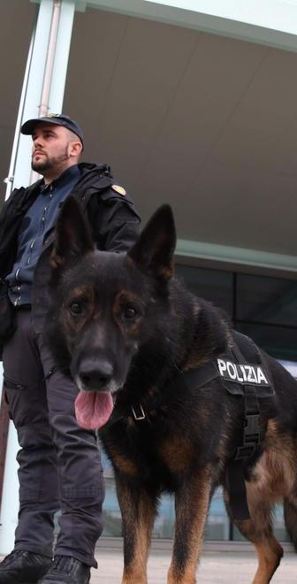 Studente 16enne arrestato per spaccio 