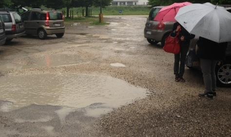 «Asfalto per il parcheggio del Borselli»