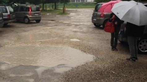 «Asfalto per il parcheggio del Borselli»