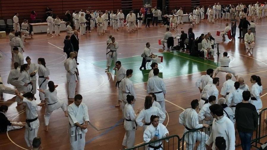 Trofeo in memoria di Nicolhas 640 atleti onorano il 14enne