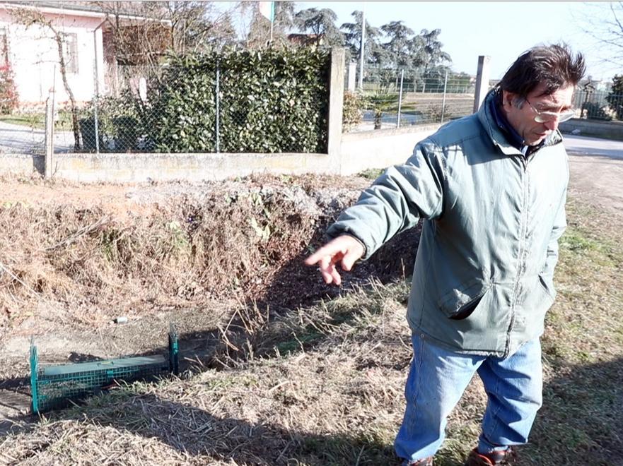 "La mia guerra alle nutrie che mi danneggiano la casa"