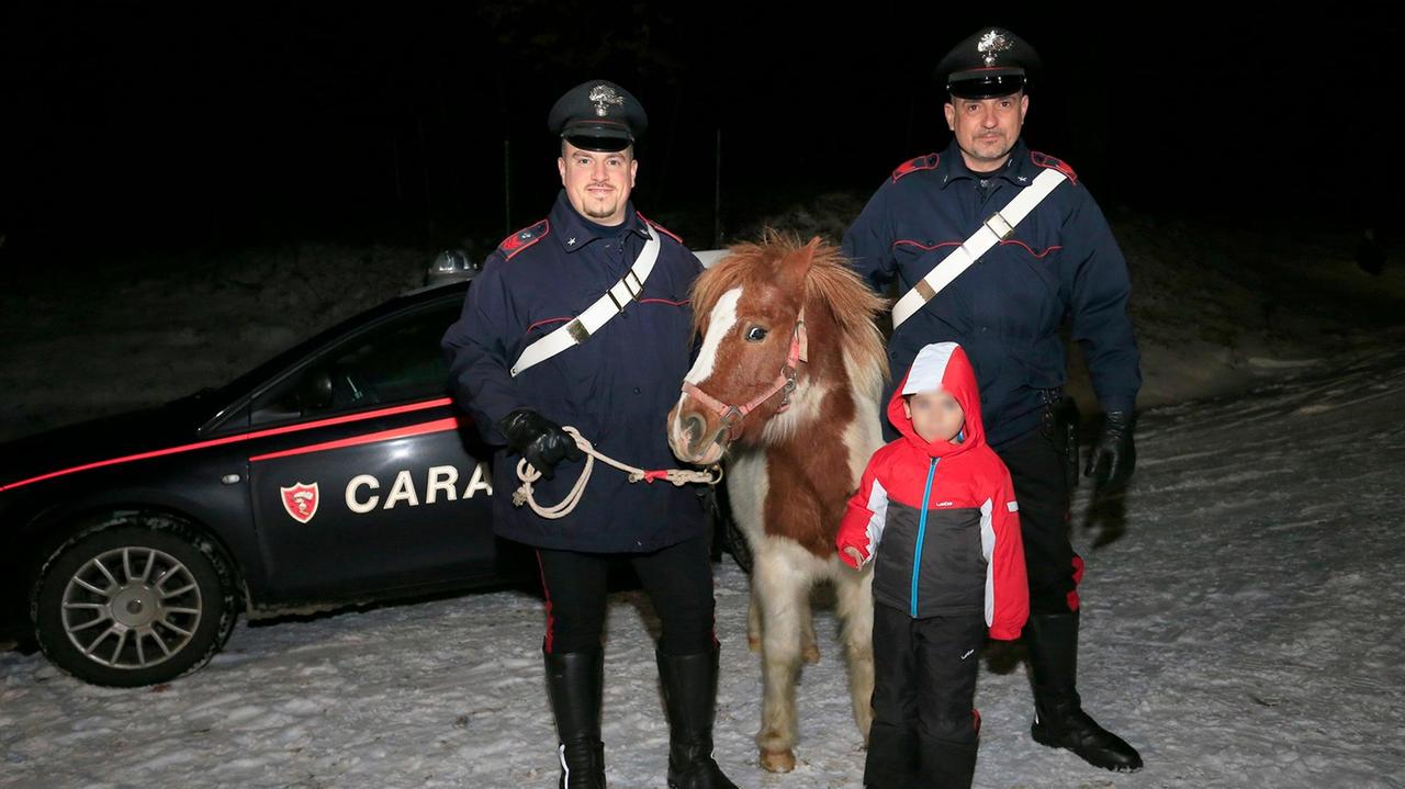 Pavullo. Pony scappa da tre lupi: i carabinieri lo salvano