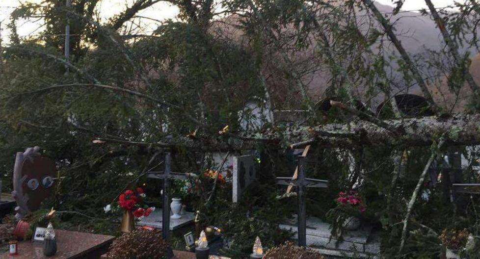 Un abete si abbatte sul cimitero 