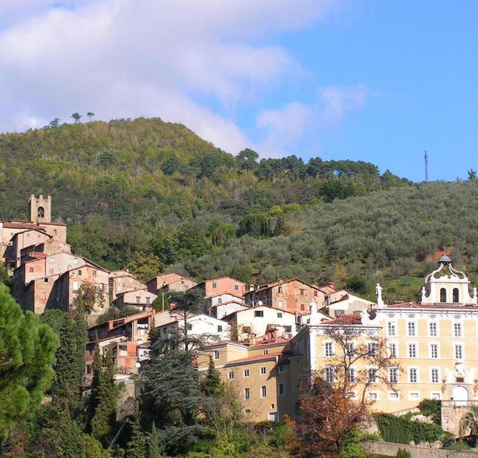 Il futuro di Pescia affidato all’architetto Graziano Massetani 