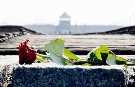 Un'immagine simbolo per il Giorno della Memoria che si festeggia il 27 gennaio 