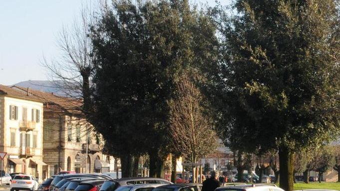 Stalli gratis sui viali: comitato con gli esercenti