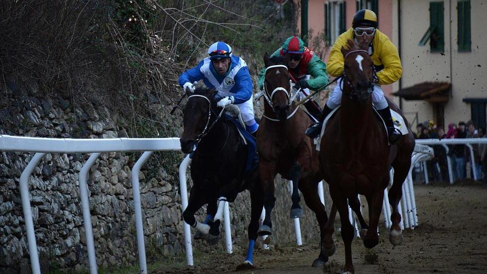 Palio di Buti, via libera dei veterinari ai cavalli presentati dalle contrade