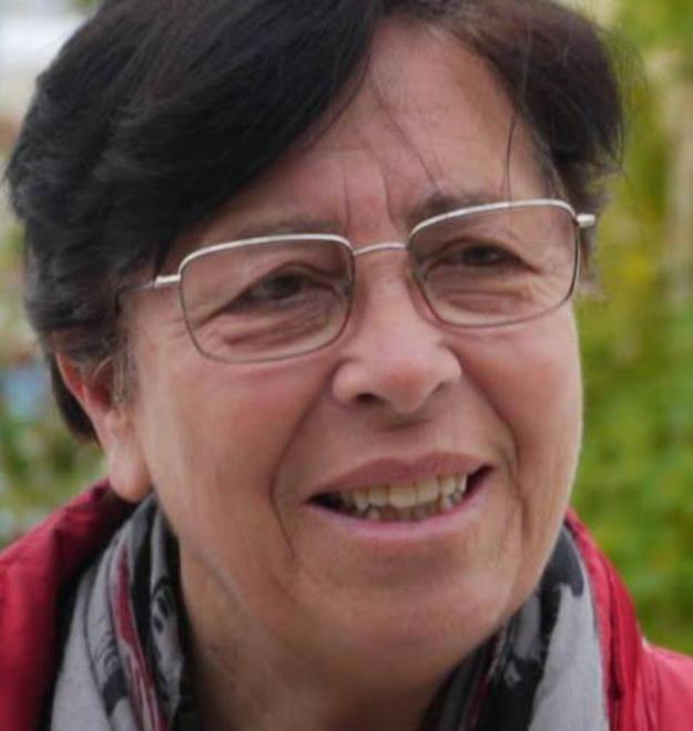L’ex assessore Lazzerini: c’è un progetto già finanziato per i locali ex Inapli