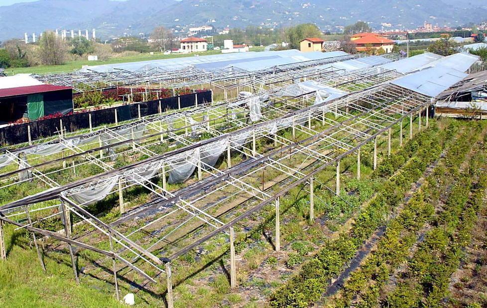 «Vogliamo entrare nella cabina di regia» 