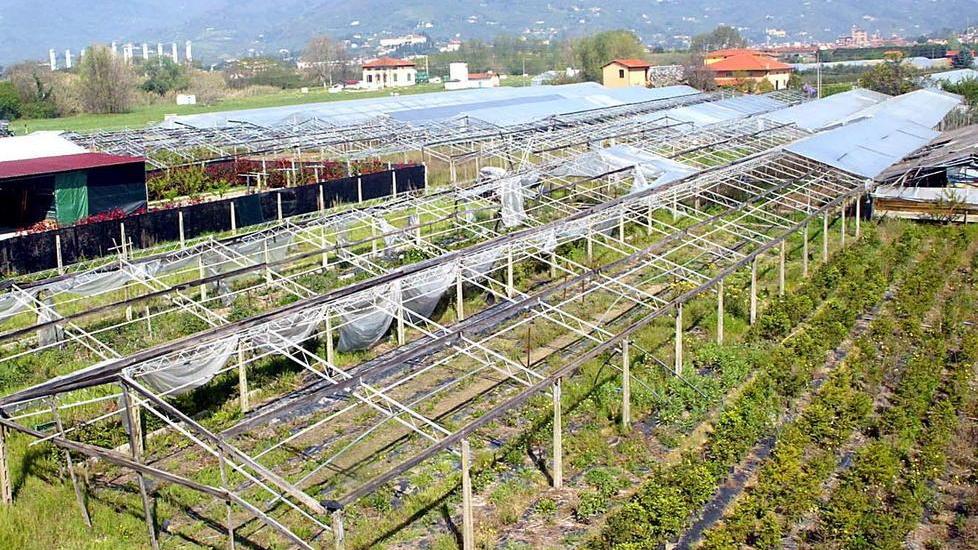 «Vogliamo entrare nella cabina di regia»