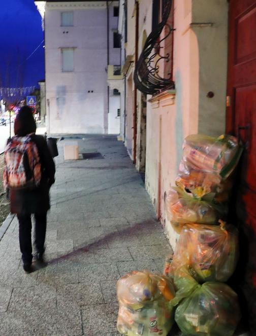 «Strade piene di rifiuti che attirano i topi» 