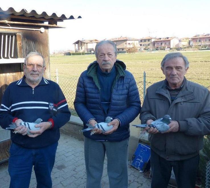Colombi reggiani alle Olimpiadi 