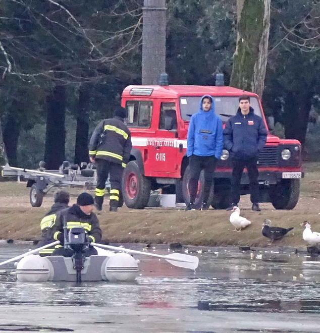 Vigili del fuoco in aiuto delle oche