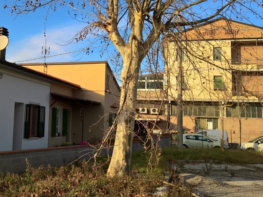 Distributore dismesso così il degrado avanza 