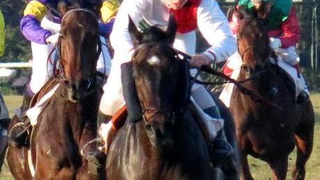 San Rossore Turf Club è il premio di centro sul prato degli Escoli