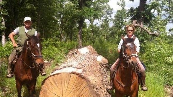 «I nostri cinque box aperti ai cavalli di chi è in difficoltà»