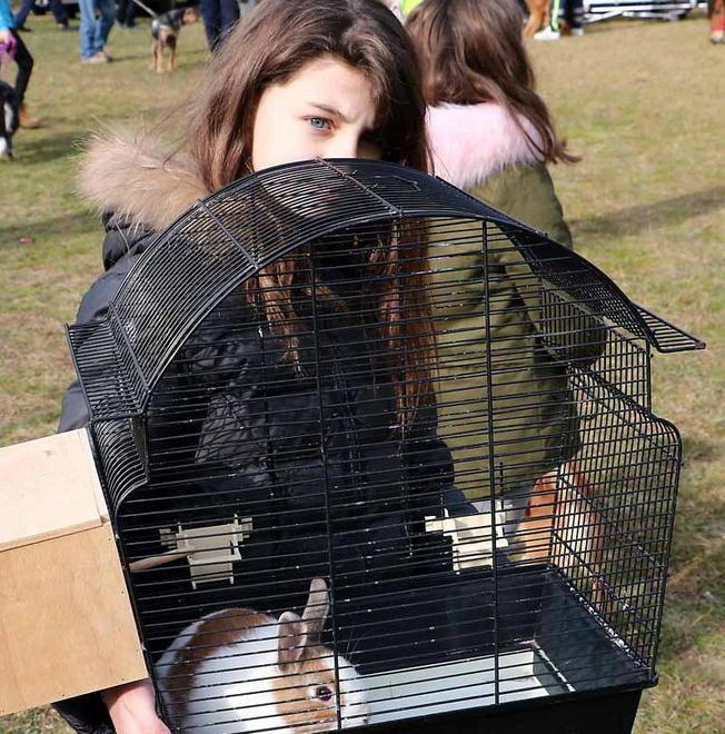 Benedizione degli animali e premi ai più simpatici