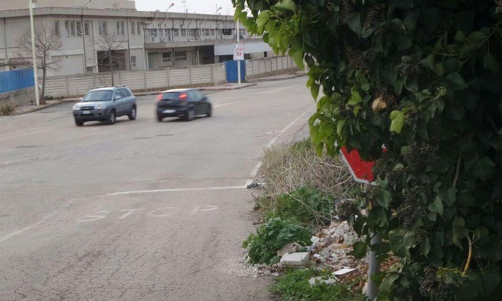 Lo stop è nascosto dalle frasche 