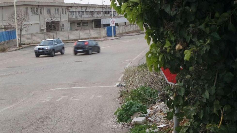 Lo stop è nascosto dalle frasche
