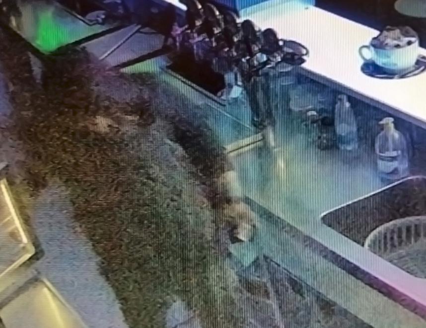 Modena, bar saccheggiato tre volte in nove giorni 