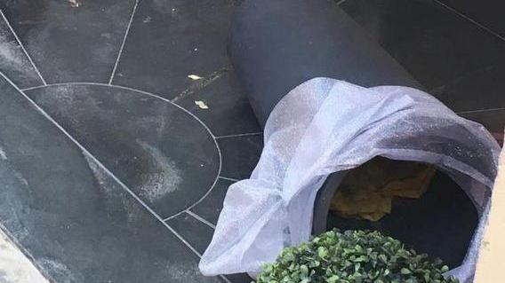 Vandalismi contro i negozi I commercianti: «Siamo stufi»