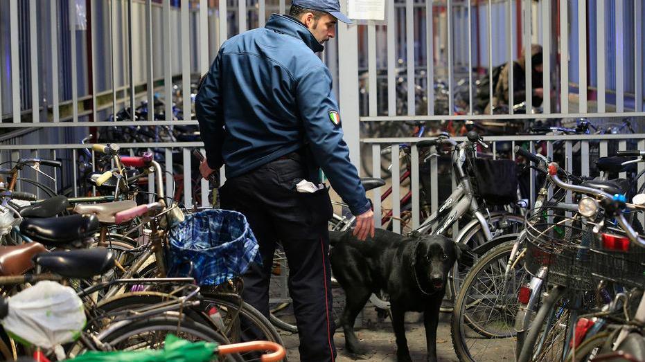 Sicurezza, controlli dei carabinieri a Modena con il cane antidroga