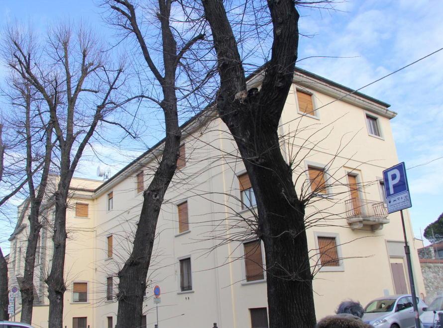 Sarà abbattuto il tiglio aggredito da un fungo del legno