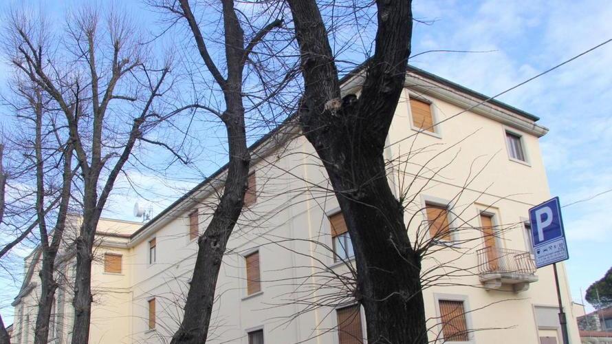 Sarà abbattuto il tiglio aggredito da un fungo del legno