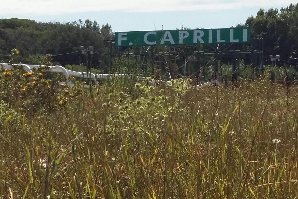 Commissioni speciali su Villa Corridi e sulla fine del Caprilli