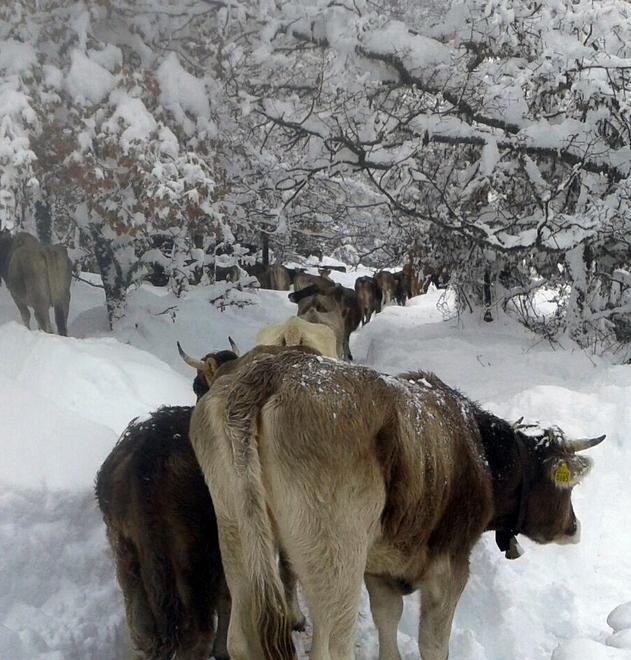 Emergenza maltempo Dalla Regione 5 milioni 