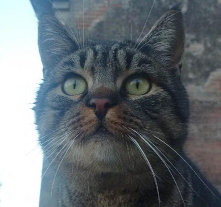 Bosco Mesola vince in solidarietà 
