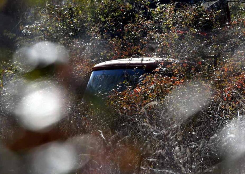 Un cimitero di auto lungo il Canalmagro 
